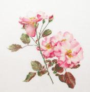Rosa Leersum - White