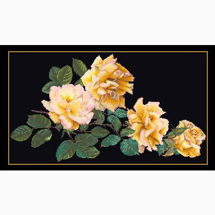 Peace Rose - Black