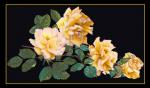 Peace Rose - Black