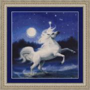 Moonlight Unicorn