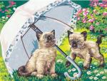 Under the Beautiful Umbrella
