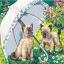 Under the Beautiful Umbrella