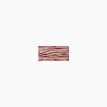 WDW 2282 Charlotte\'s Pink