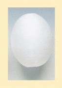 Cotton wool egg 39 x 48 mm