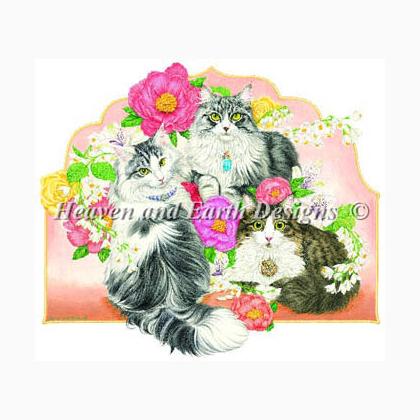 Spring Cat