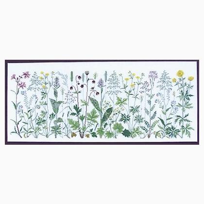 Flowers in the Meadow