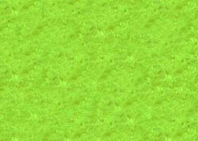 Fiesta Felt