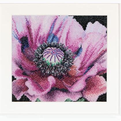 Spring Collection: Poppy