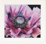 Spring Collection: Poppy