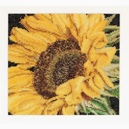 Spring Collection: Sunflower