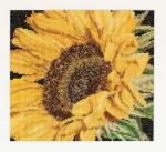 Spring Collection: Sunflower