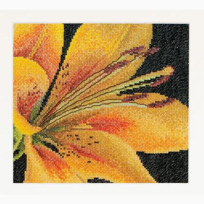Spring Collection: Lily