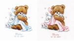 Birth Sampler - Bear