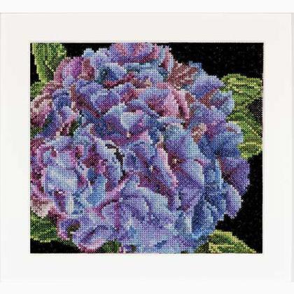 Autumn Collection: Hydrangea