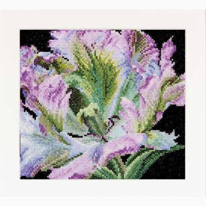 Autumn Collection: Tulip