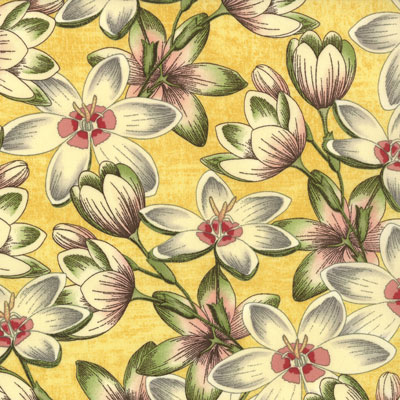 Moda Fabrics Moda Fabrics