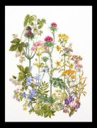 Herb Panel