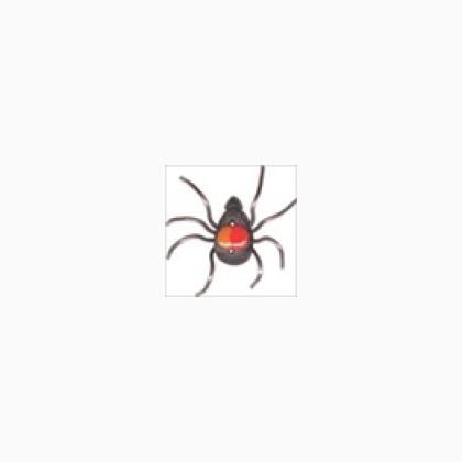 Button - Spider