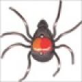 Button - Spider