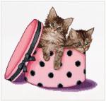 Kitten twins