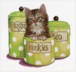 Cookie time