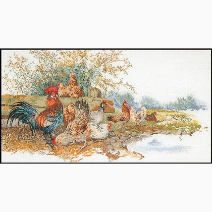 Chickens