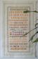 Sampler dell'amicizia
