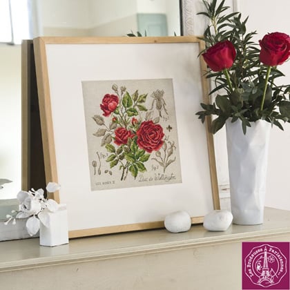Etude à la rose Duc de Wellington - Linen
