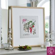 Etude Aux Groseilles - Linen