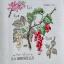 Etude Aux Groseilles - Linen