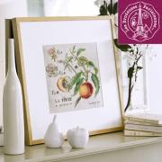 FLEURUS 「Douceurs & gourmandise au point Douceurs et gourmandises au point de croix From Fleurus