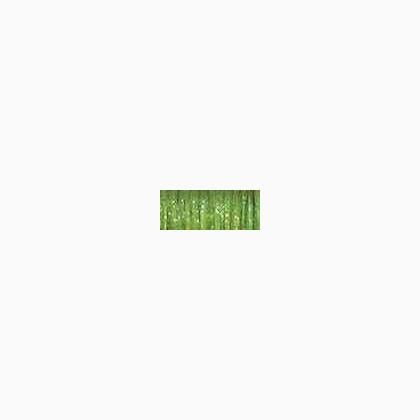 5535 Oregano (#16)