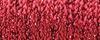 003HL Red High Lustre (#32)