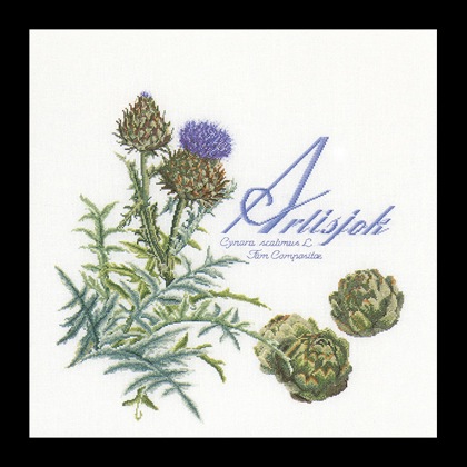 Artichoke - white