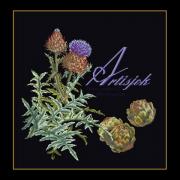 Artichoke - black