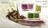 Hackberry
