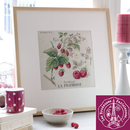 Etude Aux Framboises - Linen