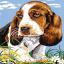Dachshund