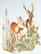 Deer Family