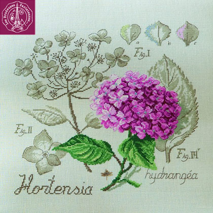 Étude à l\'Hortensia - Linen