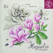Étude au Magnolia - Linen