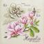 Étude au Magnolia - Linen