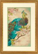 Indian Peacock