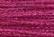 Gold Rush 14 - WG40C Fuchsia