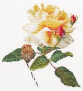 Release