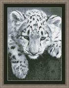 Black And White Leopard