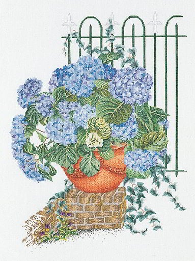 Blue Hydrangea