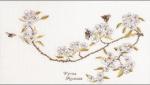 Pear Blossom