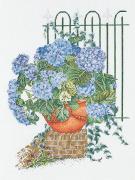 Blue Hydrangea
