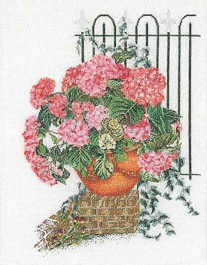 Pink Hydrangea